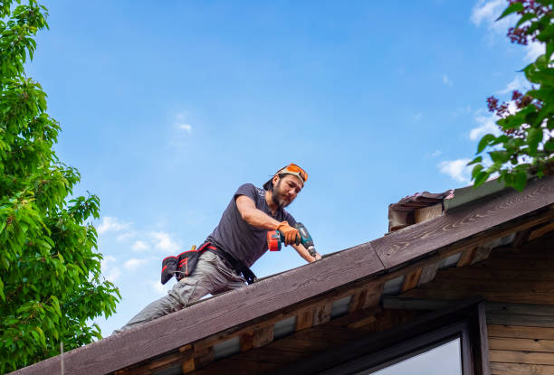 Best Roof Moss and Algae Removal  in Zeeland, MI