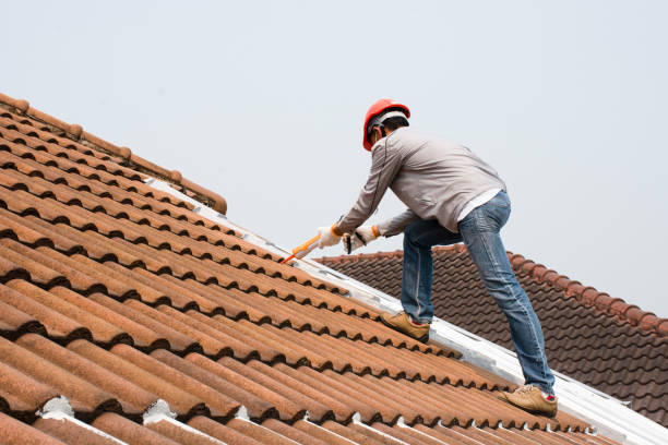 Best Cold Roofs  in Zeeland, MI