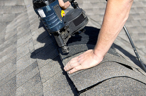 Best Skylight Installation and Repair  in Zeeland, MI