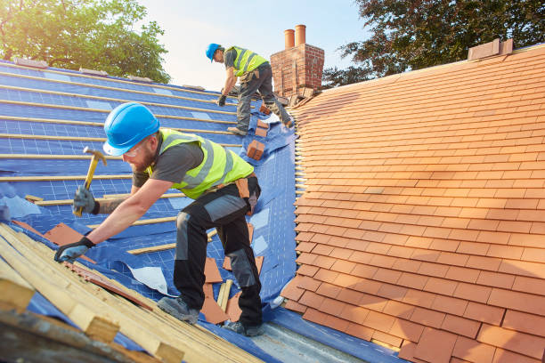 Best Emergency Roof Repair Services  in Zeeland, MI